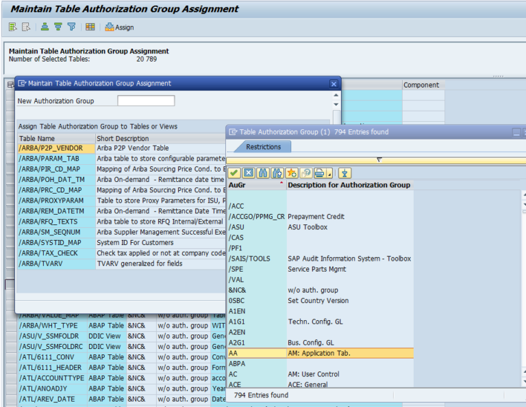 sap authorization group assignment table