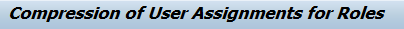 Role user assignment compression