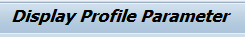 SAP profile parameters